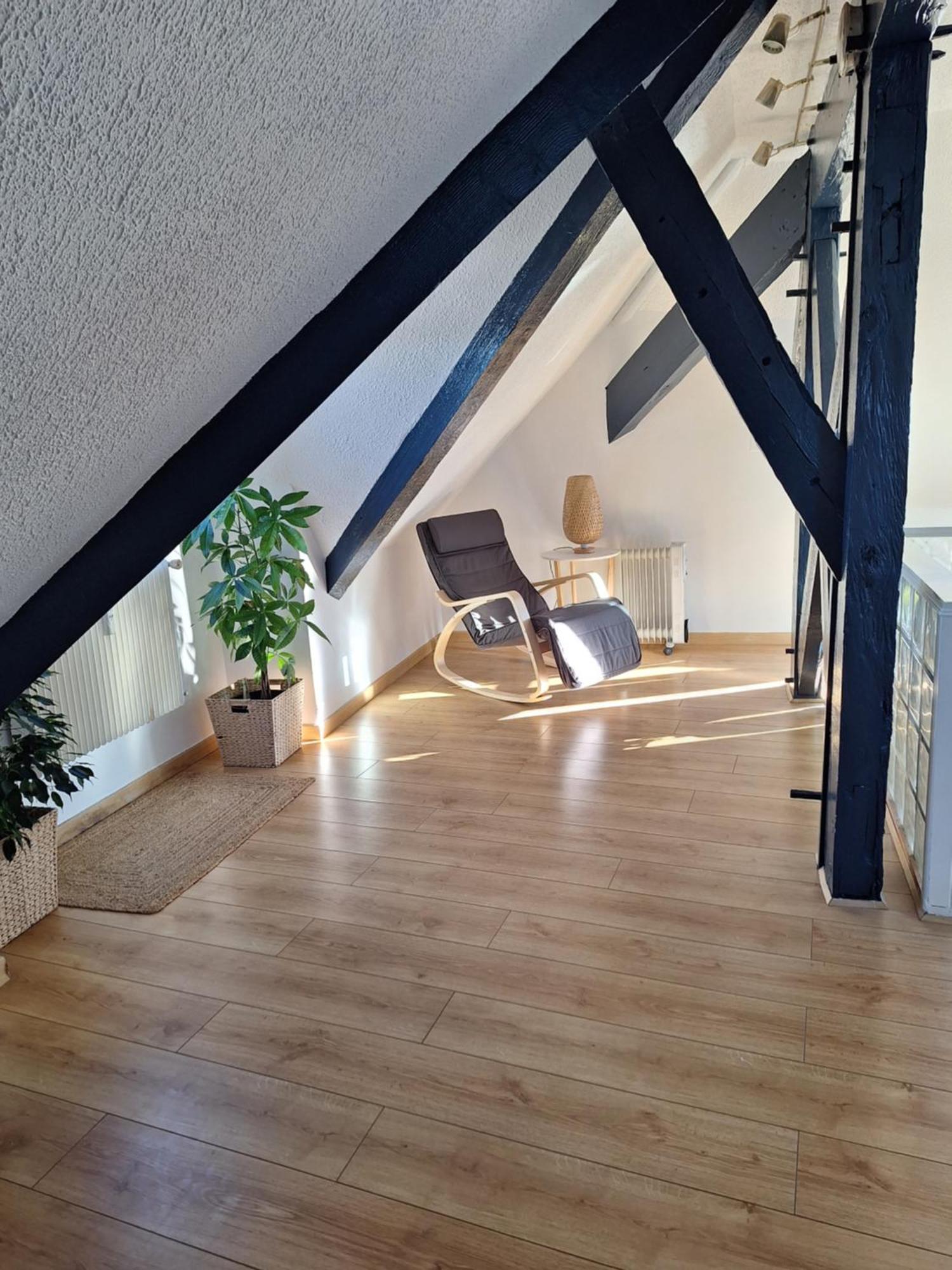 Les Combles De Apartment *